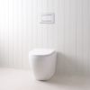 Curved In-Wall Toilet With Rectangle Chrome Buttons