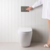 Curved In-Wall Toilet With Rectangle Gunmetal Buttons