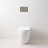 Curved In-Wall Toilet With Rectangle Gunmetal Buttons
