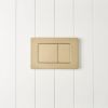 Curved In-Wall Toilet With Rectangle Warm Brushed Nickel Buttons