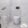 Curved In-Wall Toilet With Round Antique Brass Buttons