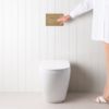Curved In-Wall Toilet With Round Brushed Brass Buttons