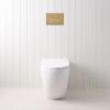 Curved In-Wall Toilet With Round Brushed Brass Buttons