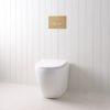 Curved In-Wall Toilet With Round Brushed Brass Buttons