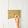 Curved In-Wall Toilet With Round Brushed Brass Buttons