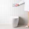 Curved In-Wall Toilet With Round Chrome Buttons