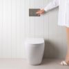 Curved In-Wall Toilet With Round Gunmetal Buttons