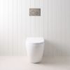 Curved In-Wall Toilet With Round Gunmetal Buttons