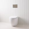 Curved In-Wall Toilet With Round Stainless Steel Buttons