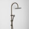 Gooseneck Combination Shower + Round Sprayer Antique Brass