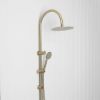 Gooseneck Combination Shower + Round Sprayer Warm Brushed Nickel
