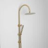 Gooseneck Combination Shower + Straight Sprayer Brushed Brass