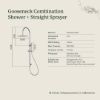 Gooseneck Combination Shower + Straight Sprayer Stainless Steel