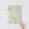 Castle Cove Subway Green Marble Look Matte Tile