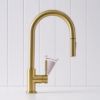 Melbourne Dual Function Pullout Kitchen Mixer Brushed Brass