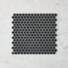 Broadwater Black Gloss Penny Round Mosaic Tile