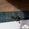 Coogee Antique Green Kit Kat Mosaic Tile