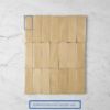 Noosa Gloss Zellige Beige Subway Tile