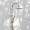Outdoor Gooseneck Combination Shower Stainless Steel