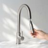 Outdoor Sydney Pullout Kitchen Mixer Stainless Steel