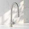 Outdoor Sydney Pullout Kitchen Mixer Stainless Steel