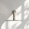 Outdoor Wall Shower Arm and Head Stainless Steel