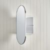 Oval Mirror Cabinet Stainless Steel