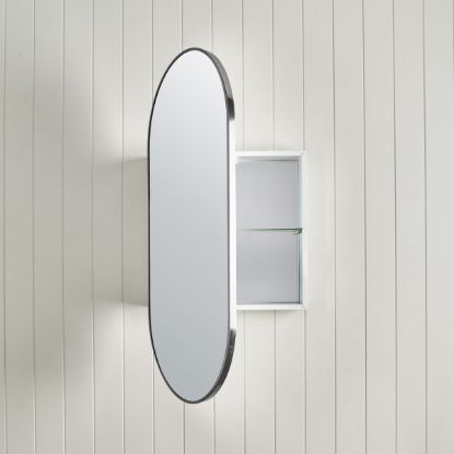 Oval Mirror Cabinet Stainless Steel