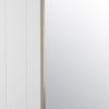 Oval Mirror Warm Brushed Nickel