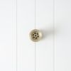 Plug and Waste Warm Brushed Nickel