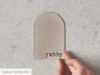 Plug and Waste Warm Brushed Nickel