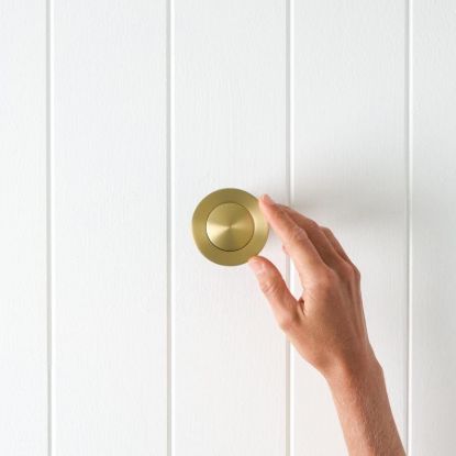 Pop Up Waste - No Overflow - Brushed Brass