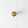 Pop Up Waste - Overflow - Brushed Brass