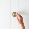 Pop Up Waste - Overflow - Warm Brushed Nickel