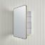 Rectangular Mirror Cabinet Antique Brass