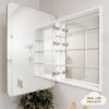 Rectangular Mirror Cabinet Warm Brushed Nickel
