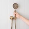 Round Shower Hose + Sprayer Brushed Brass