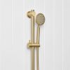 Round Hand Shower + Adjustable Rail Brushed Brass