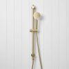 Round Hand Shower + Adjustable Rail Brushed Brass