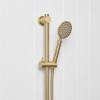 Round Hand Shower + Adjustable Rail Brushed Brass