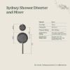 Shower Diverter and Mixer Gunmetal