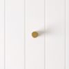 Shower Door Handle Brushed Brass