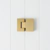 Shower Hinge Glass to Glass Brushed Brass