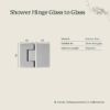 Shower Hinge Glass to Glass Brushed Brass