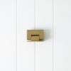 Shower Hinge Glass to Wall Brushed Brass