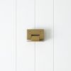 Shower Hinge Glass to Wall Brushed Brass