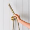 Shower Hose + Sprayer Brushed Brass