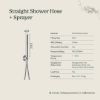 Shower Hose + Sprayer Stainless Steel