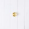 Sliding Door Lock Brushed Brass