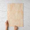 Stanmore Gloss Subway Bone Tile